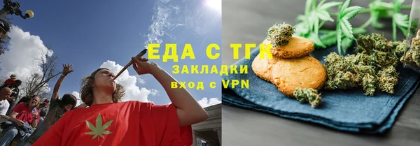 дживик Ельня