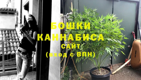дживик Ельня