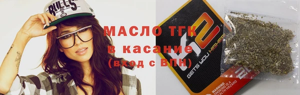 дживик Ельня