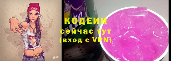 дживик Ельня
