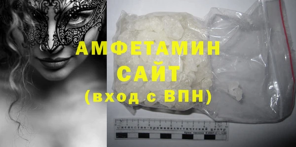 дживик Ельня