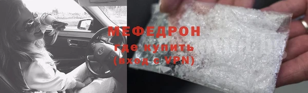 дживик Ельня