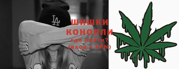 дживик Ельня