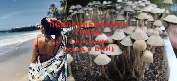 первитин Елабуга