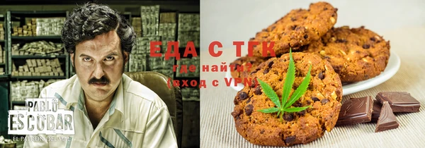 дживик Ельня