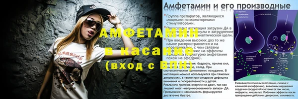 дживик Ельня