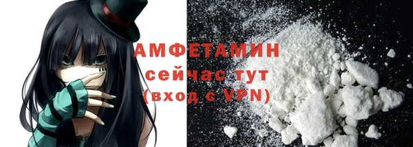 дживик Ельня