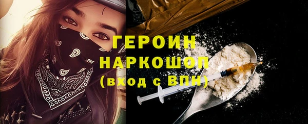 дживик Ельня