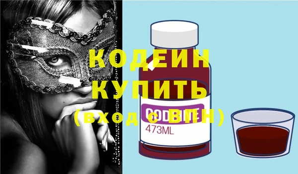 дживик Ельня