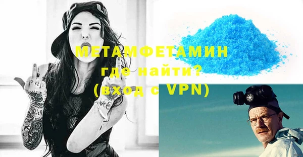 дживик Ельня