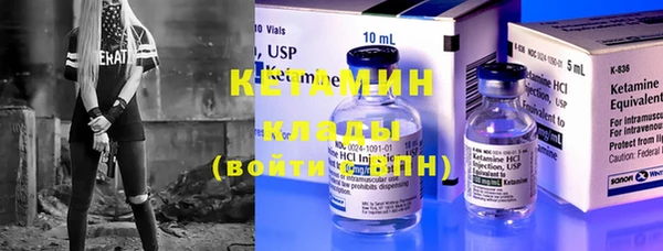 дживик Ельня