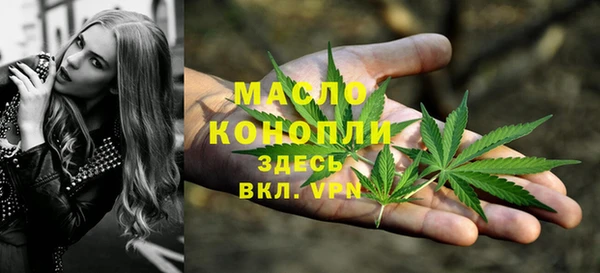 дживик Ельня