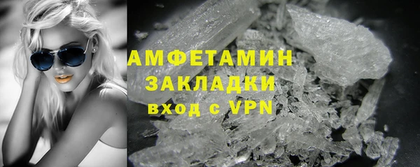 дживик Ельня